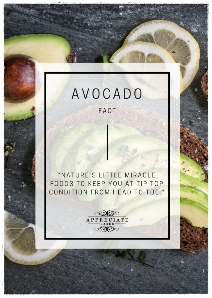 avocado-fact
