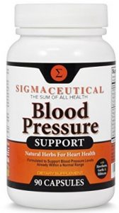 premium-blood-pressure-support-formula-90-capsules