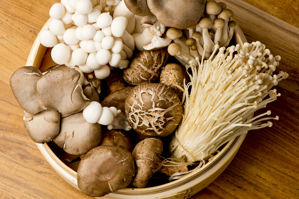 all-different-kinds-of-mushrooms