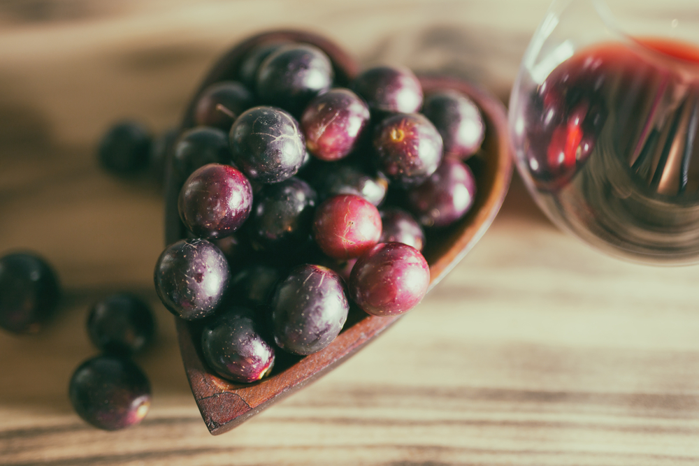 muscadine-grapes