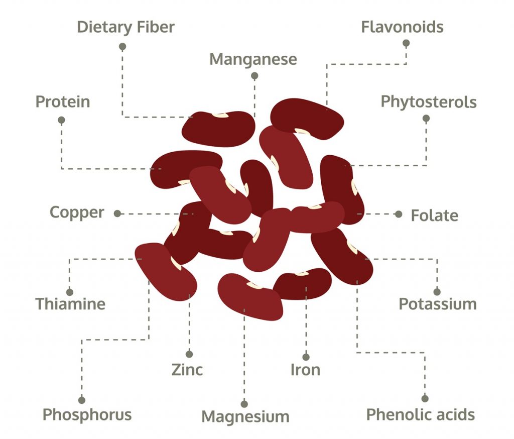 nutrition-facts-of-kidney-beans-infographic-2