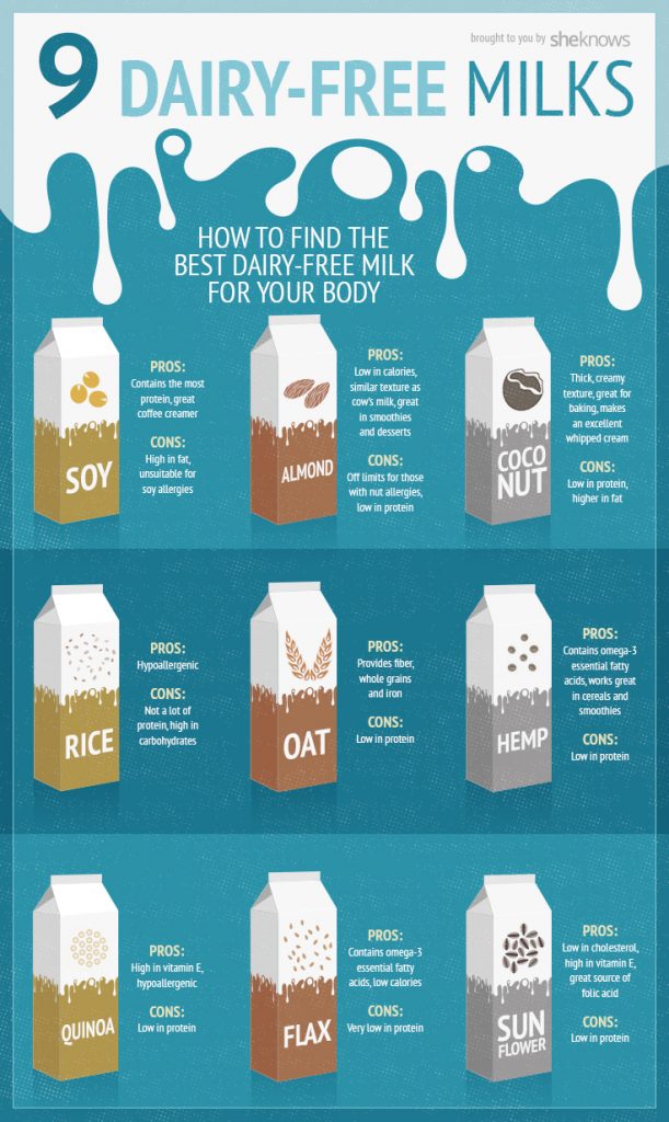 the-different-kinds-of-dairy-free-milk-infographic
