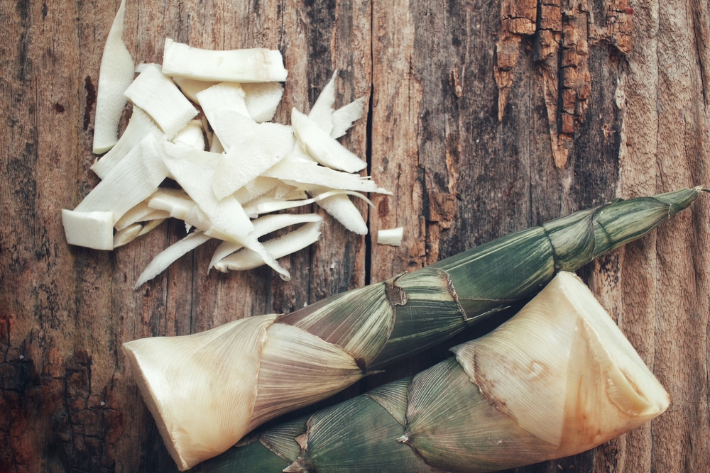 Bamboo Shoots Article - Featured Image