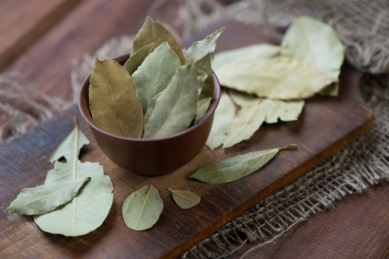 Bay Leaf Featured Image 2