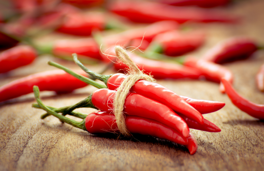 Chili Pepper - Featured Image