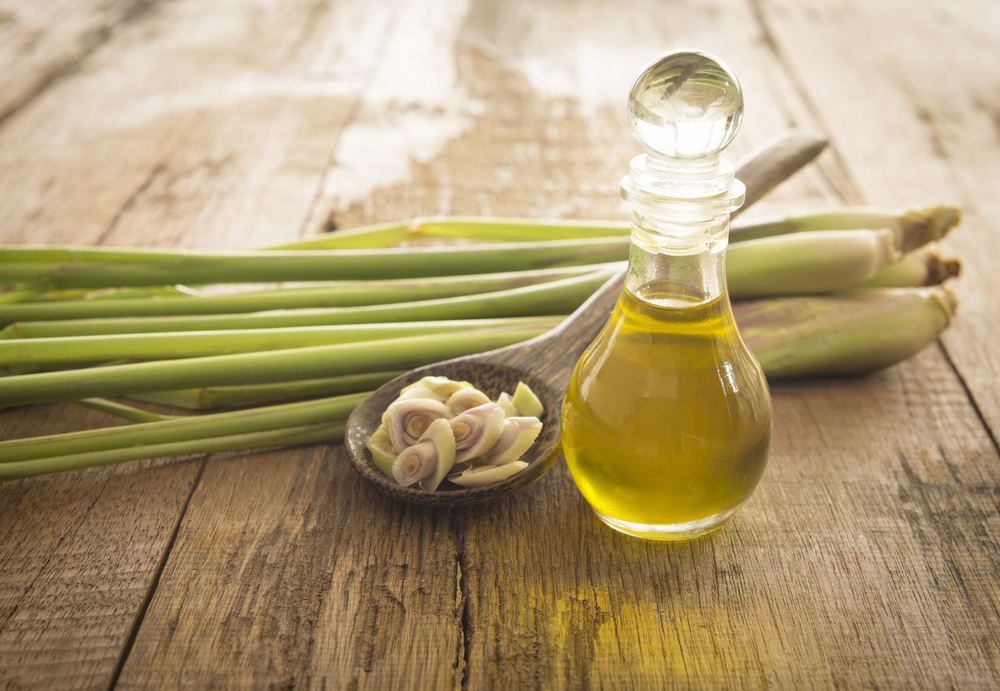 Lemongrass and Essential Oil - Featured Image