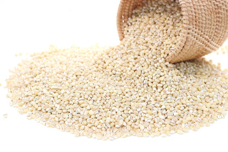 Barley polished kernels