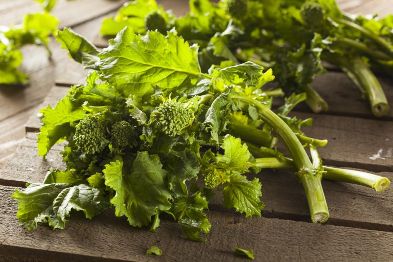 Broccoli Rabe Article - Featured image
