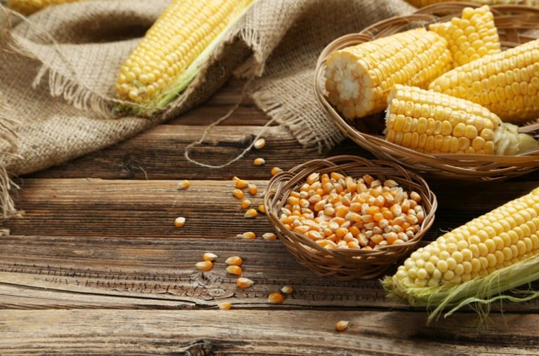 Corn (Maize) Health Benefits Article - Featured Image 2