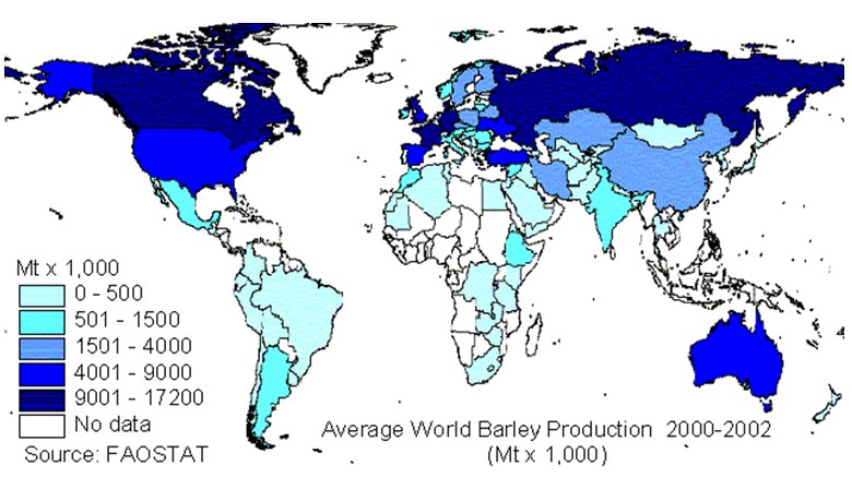 Global production of barley