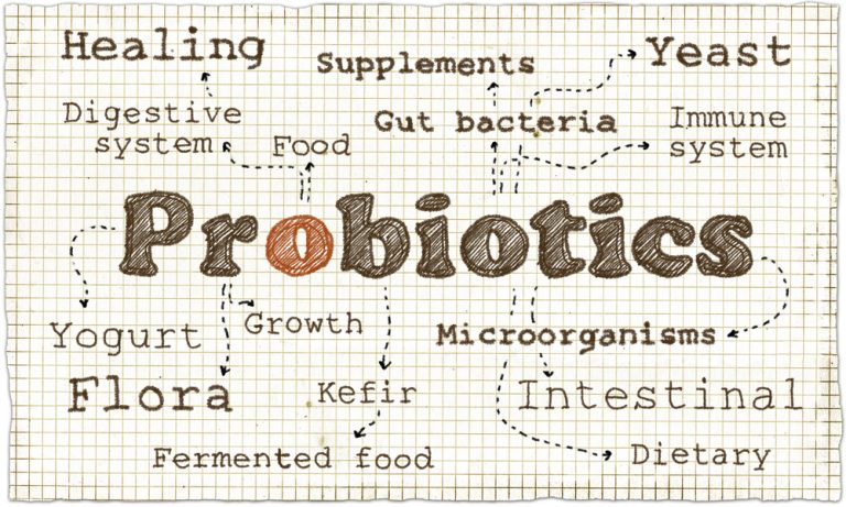 Probiotics Article - Featured Image
