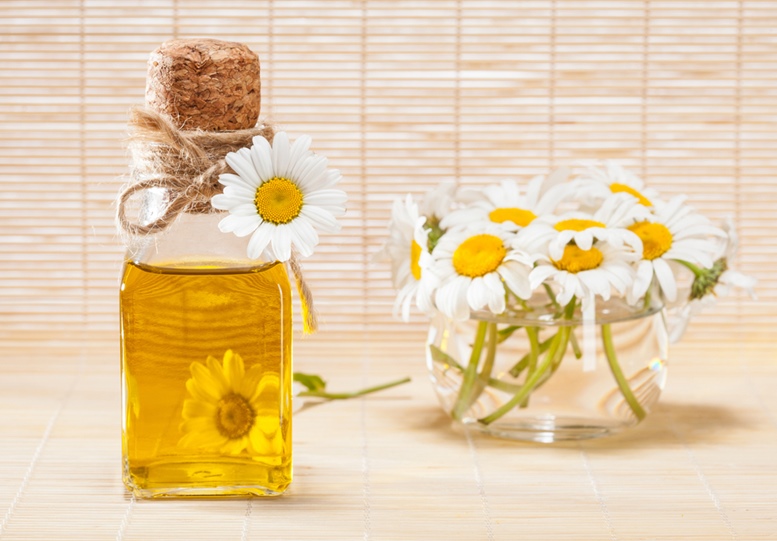 Chamomile Essential Oil Facts And Top Health Benefits - Featured Image