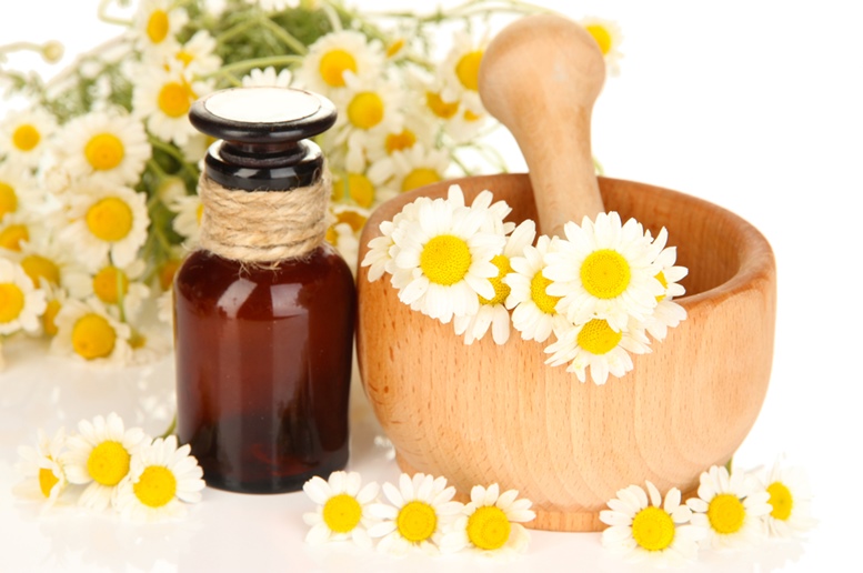 Chamomile Flowers and Essential Oil