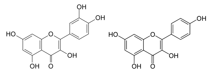 Chemical structure of quercetin and kaemopferol.