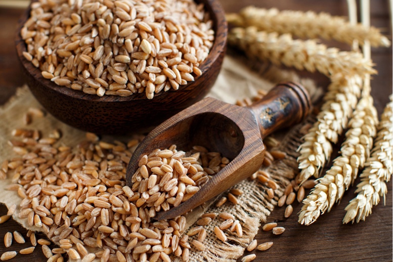 Farro - Health Benefits, Side Effects, Nutrition Facts, Fun Facts & History - Featured Image