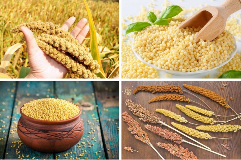 Health Benefits of Millet - Article Featured Image