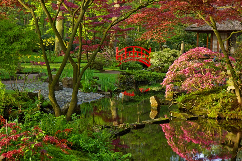 Japanese Garden in Clingendael Park