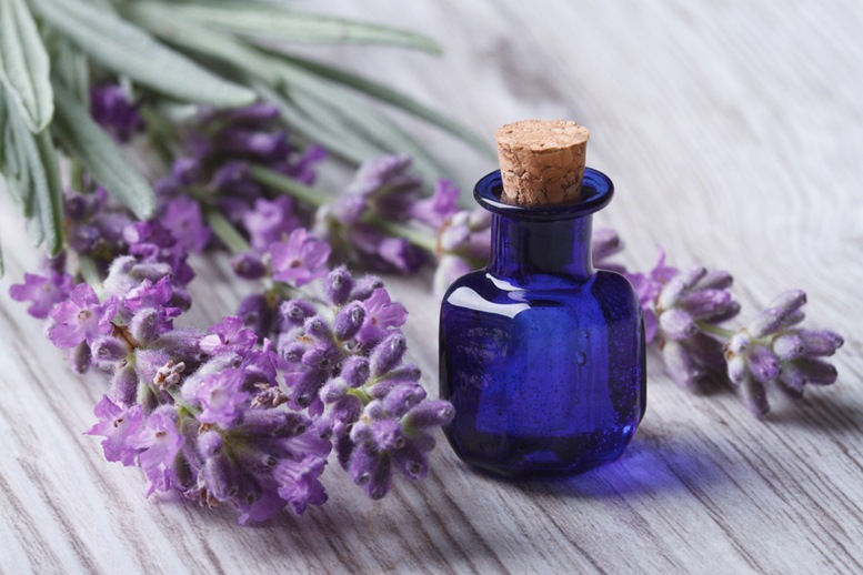 Lavender Essential Oil 3