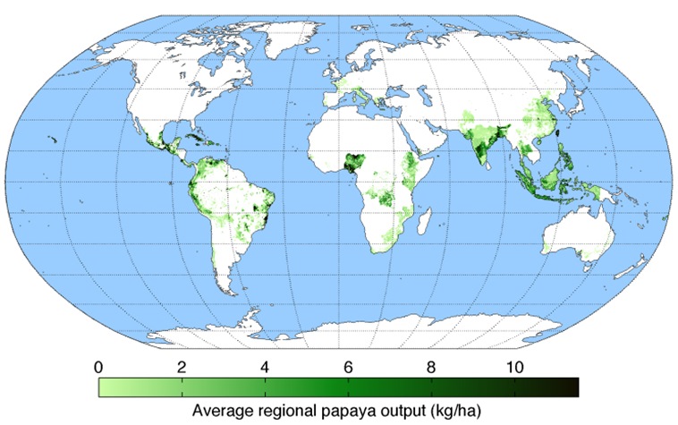 Papaya production worldwide