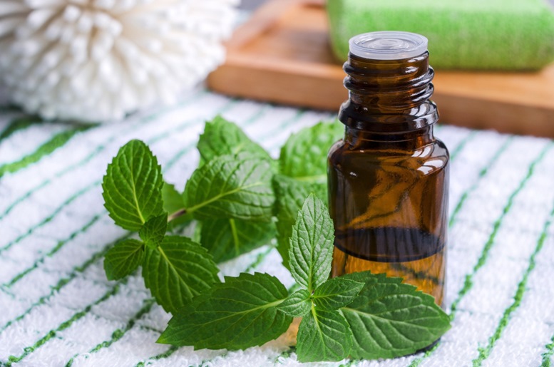 Peppermint Essential Oil 2