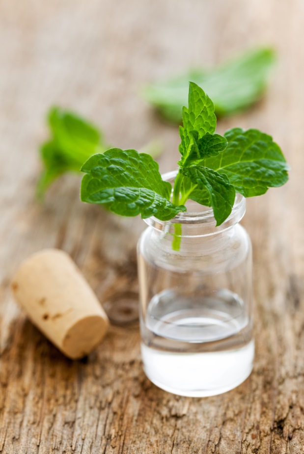 Peppermint Essential Oil 5