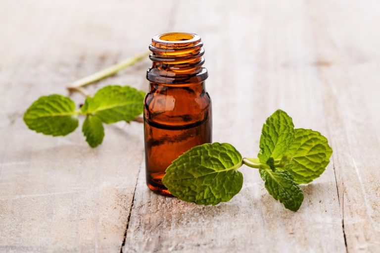 Peppermint Essential Oil Article - Featured Image