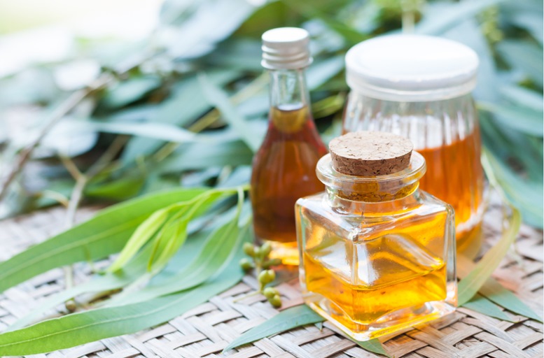 Top 10 Health Benefits & Uses of Eucalyptus Essential Oil - Featured Image