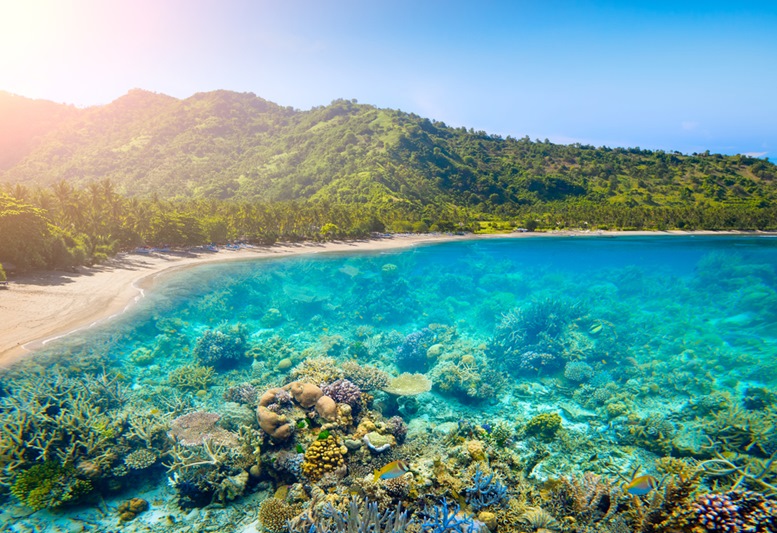 Tropical coast on Lombok